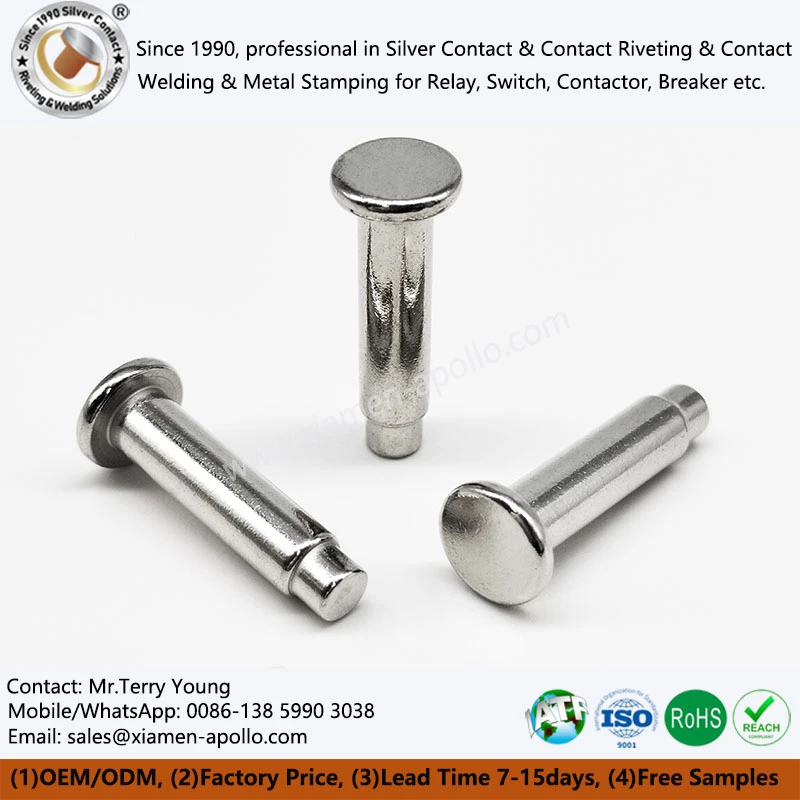 Pure Iron Core for Charging Relay Pure Iron Core for Charging Relay